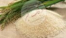 نرخ تبدیل شلتوک به برنج در شالیکوبی ها تعیین شد