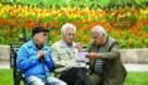 سه شهرستان گیلان رتبه پیرترین های ایران را کسب کردند