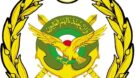 ارتش جمهوری اسلامی ایران نیرو میپذیرد