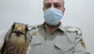 یک بهله دلیجه از یک متخلف صید پرندگان شکاری در رودبار کشف و ضبط شد