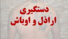 احضار و دستگیری 43 اراذل و اوباش در رودبار